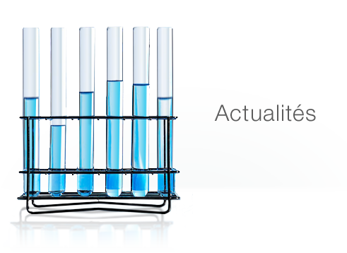 actualites.png